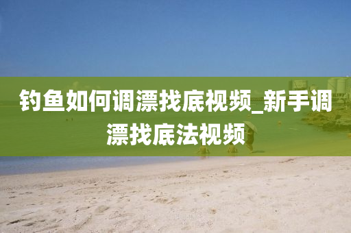 釣魚如何調漂找底視頻_新手調漂找底法視頻-第1張圖片-姜太公愛釣魚