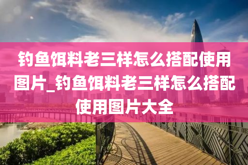 釣魚餌料老三樣怎么搭配使用圖片_釣魚餌料老三樣怎么搭配使用圖片大全-第1張圖片-姜太公愛釣魚