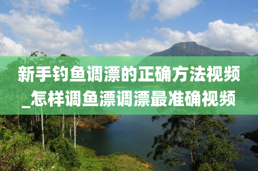 新手釣魚(yú)調(diào)漂的正確方法視頻_怎樣調(diào)魚(yú)漂調(diào)漂最準(zhǔn)確視頻-第1張圖片-姜太公愛(ài)釣魚(yú)