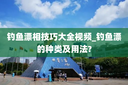 釣魚漂相技巧大全視頻_釣魚漂的種類及用法?-第1張圖片-姜太公愛釣魚