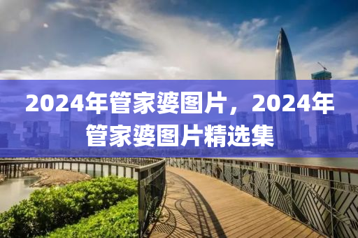 2024年管家婆圖片，2024年管家婆圖片精選集-第1張圖片-姜太公愛釣魚