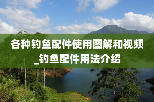 各種釣魚配件使用圖解和視頻_釣魚配件用法介紹-第1張圖片-姜太公愛釣魚