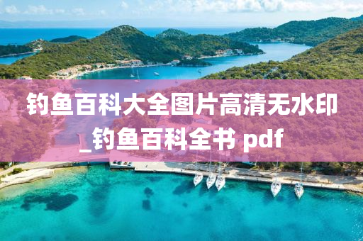 釣魚百科大全圖片高清無水印_釣魚百科全書 pdf