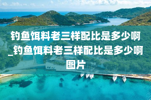 釣魚餌料老三樣配比是多少啊_釣魚餌料老三樣配比是多少啊圖片-第1張圖片-姜太公愛釣魚