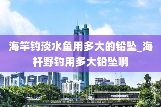 海竿釣淡水魚用多大的鉛墜_海桿野釣用多大鉛墜啊-第1張圖片-姜太公愛釣魚