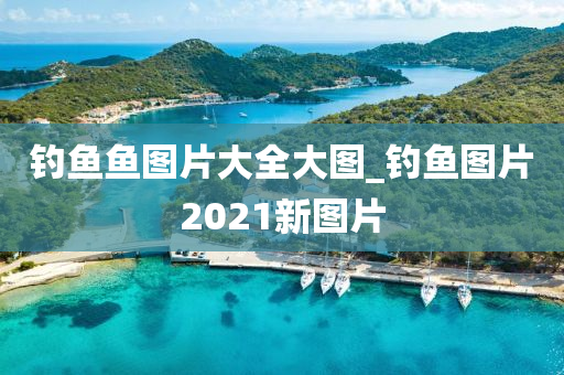 釣魚魚圖片大全大圖_釣魚圖片2021新圖片-第1張圖片-姜太公愛釣魚