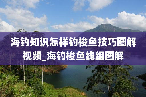 海釣知識怎樣釣梭魚技巧圖解視頻_海釣梭魚線組圖解-第1張圖片-姜太公愛釣魚