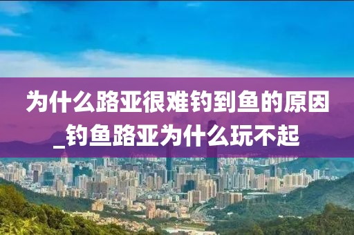 為什么路亞很難釣到魚(yú)的原因_釣魚(yú)路亞為什么玩不起-第1張圖片-姜太公愛(ài)釣魚(yú)