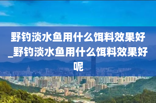 野釣淡水魚用什么餌料效果好_野釣淡水魚用什么餌料效果好呢-第1張圖片-姜太公愛釣魚