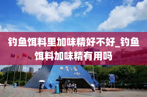 釣魚(yú)餌料里加味精好不好_釣魚(yú)餌料加味精有用嗎-第1張圖片-姜太公愛(ài)釣魚(yú)