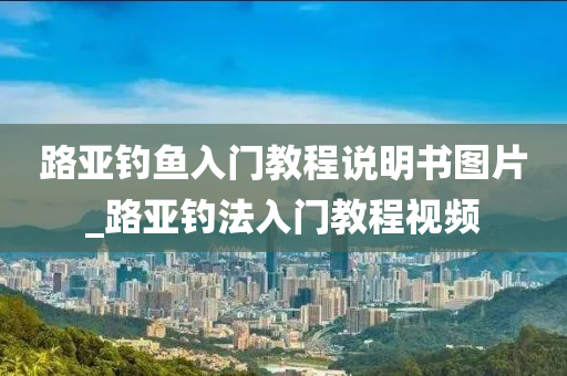 路亞釣魚入門教程說明書圖片_路亞釣法入門教程視頻-第1張圖片-姜太公愛釣魚