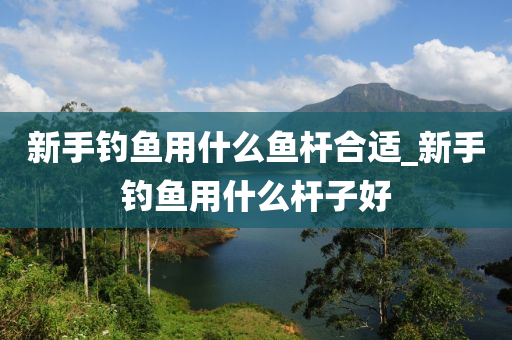 新手釣魚用什么魚桿合適_新手釣魚用什么桿子好-第1張圖片-姜太公愛釣魚