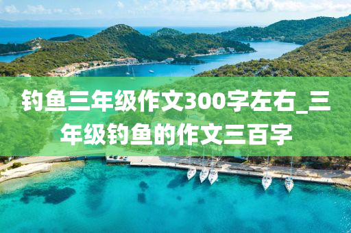 釣魚三年級作文300字左右_三年級釣魚的作文三百字-第1張圖片-姜太公愛釣魚