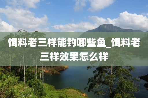 餌料老三樣能釣?zāi)男~(yú)_餌料老三樣效果怎么樣-第1張圖片-姜太公愛(ài)釣魚(yú)