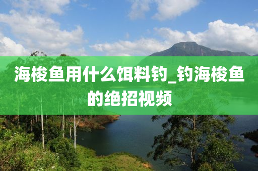 海梭魚用什么餌料釣_釣海梭魚的絕招視頻-第1張圖片-姜太公愛釣魚