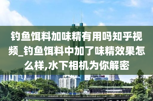 釣魚(yú)餌料加味精有用嗎知乎視頻_釣魚(yú)餌料中加了味精效果怎么樣,水下相機(jī)為你解密-第1張圖片-姜太公愛(ài)釣魚(yú)