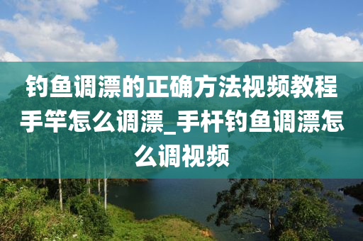 釣魚調(diào)漂的正確方法視頻教程手竿怎么調(diào)漂_手桿釣魚調(diào)漂怎么調(diào)視頻-第1張圖片-姜太公愛(ài)釣魚