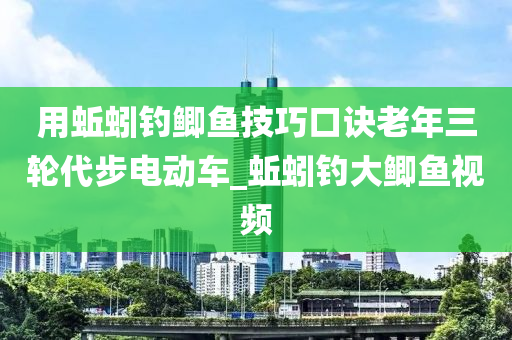 用蚯蚓釣鯽魚技巧口訣老年三輪代步電動車_蚯蚓釣大鯽魚視頻-第1張圖片-姜太公愛釣魚