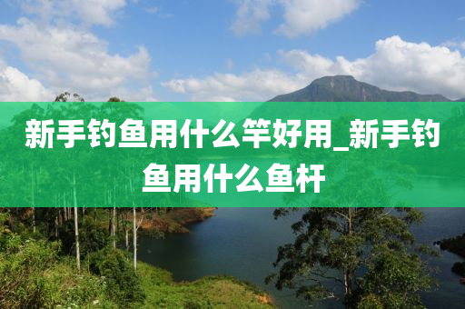 新手釣魚用什么竿好用_新手釣魚用什么魚桿-第1張圖片-姜太公愛釣魚