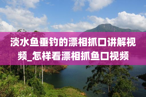 淡水魚垂釣的漂相抓口講解視頻_怎樣看漂相抓魚口視頻-第1張圖片-姜太公愛釣魚