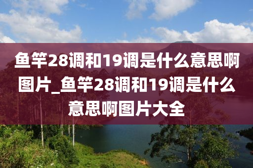 魚竿28調(diào)和19調(diào)是什么意思啊圖片_魚竿28調(diào)和19調(diào)是什么意思啊圖片大全-第1張圖片-姜太公愛釣魚