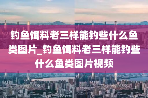 釣魚餌料老三樣能釣些什么魚類圖片_釣魚餌料老三樣能釣些什么魚類圖片視頻-第1張圖片-姜太公愛釣魚