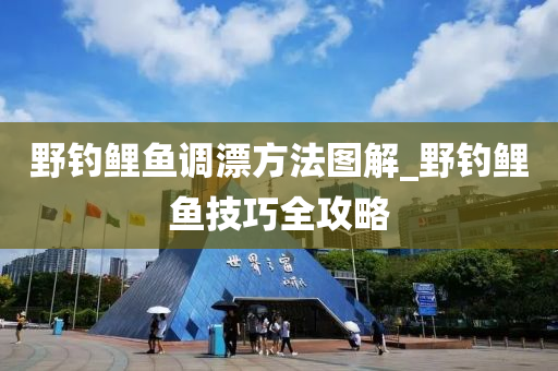 野釣鯉魚調漂方法圖解_野釣鯉魚技巧全攻略-第1張圖片-姜太公愛釣魚