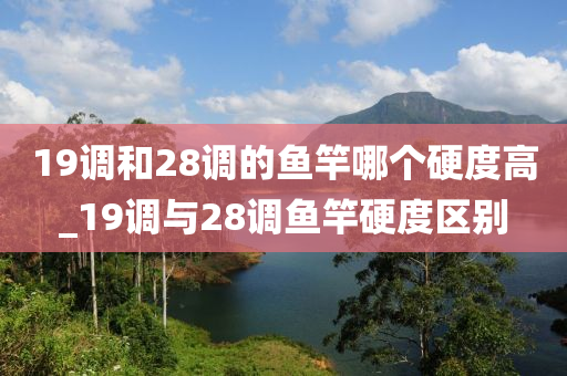 19調和28調的魚竿哪個硬度高_19調與28調魚竿硬度區(qū)別-第1張圖片-姜太公愛釣魚