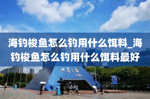 海釣梭魚怎么釣用什么餌料_海釣梭魚怎么釣用什么餌料最好-第1張圖片-姜太公愛釣魚