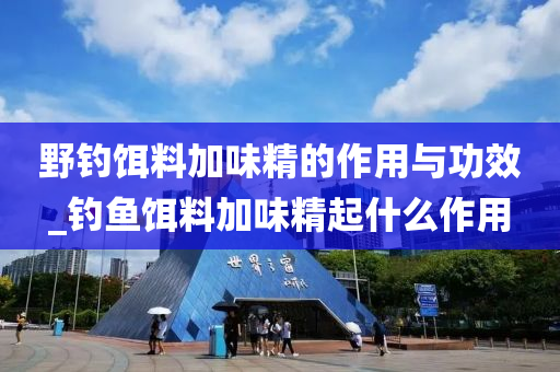 野釣餌料加味精的作用與功效_釣魚餌料加味精起什么作用-第1張圖片-姜太公愛(ài)釣魚