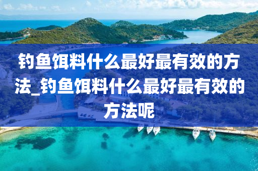 釣魚餌料什么最好最有效的方法_釣魚餌料什么最好最有效的方法呢-第1張圖片-姜太公愛釣魚