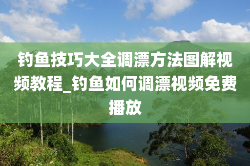 釣魚技巧大全調(diào)漂方法圖解視頻教程_釣魚如何調(diào)漂視頻免費播放-第1張圖片-姜太公愛釣魚