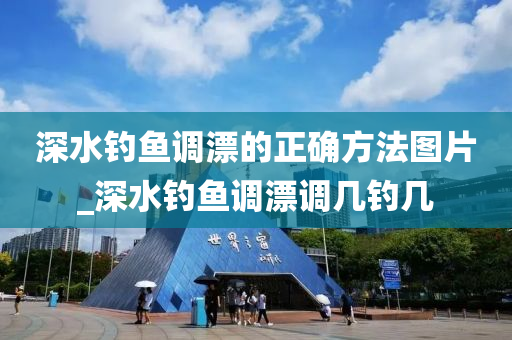 深水釣魚(yú)調(diào)漂的正確方法圖片_深水釣魚(yú)調(diào)漂調(diào)幾釣幾-第1張圖片-姜太公愛(ài)釣魚(yú)