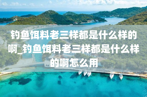 釣魚餌料老三樣都是什么樣的啊_釣魚餌料老三樣都是什么樣的啊怎么用-第1張圖片-姜太公愛釣魚