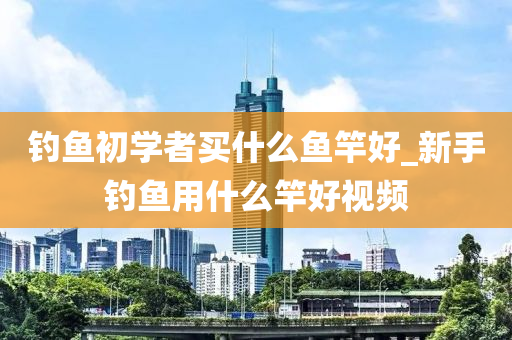 釣魚(yú)初學(xué)者買(mǎi)什么魚(yú)竿好_新手釣魚(yú)用什么竿好視頻-第1張圖片-姜太公愛(ài)釣魚(yú)