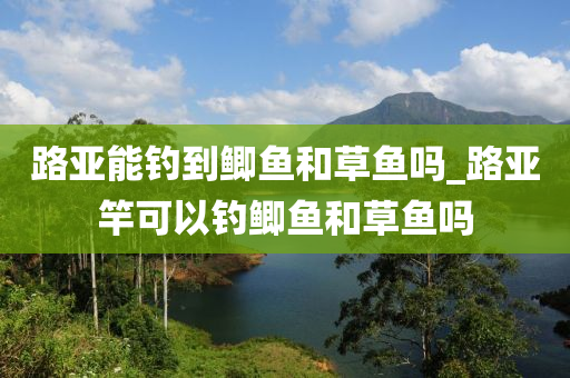 路亞能釣到鯽魚(yú)和草魚(yú)嗎_路亞竿可以釣鯽魚(yú)和草魚(yú)嗎-第1張圖片-姜太公愛(ài)釣魚(yú)