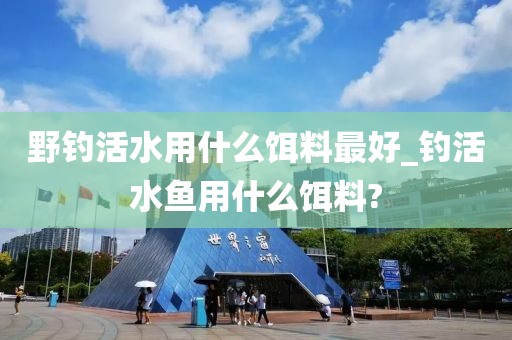 野釣活水用什么餌料最好_釣活水魚用什么餌料?-第1張圖片-姜太公愛釣魚