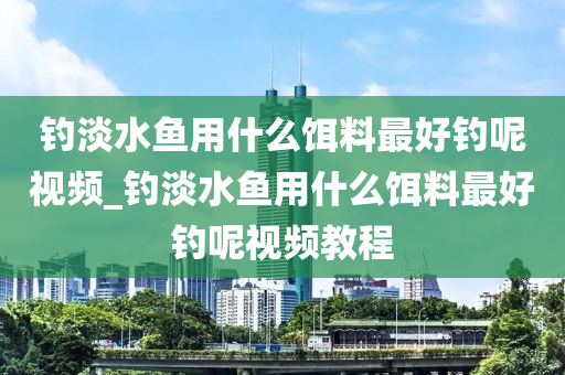 釣淡水魚用什么餌料最好釣?zāi)匾曨l_釣淡水魚用什么餌料最好釣?zāi)匾曨l教程-第1張圖片-姜太公愛(ài)釣魚