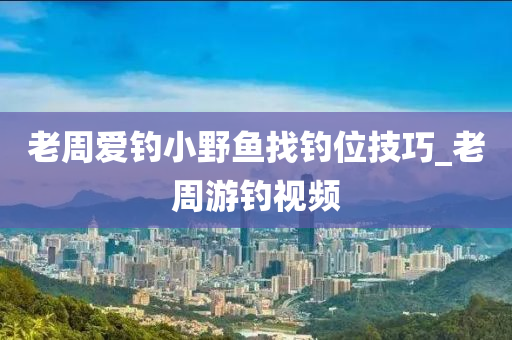 老周愛釣小野魚找釣位技巧_老周游釣視頻-第1張圖片-姜太公愛釣魚