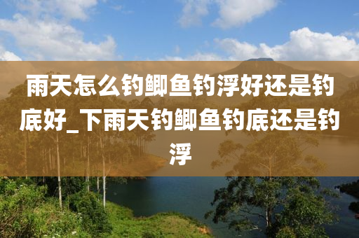 雨天怎么釣鯽魚釣浮好還是釣底好_下雨天釣鯽魚釣底還是釣浮-第1張圖片-姜太公愛釣魚