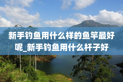 新手釣魚用什么樣的魚竿最好呢_新手釣魚用什么桿子好-第1張圖片-姜太公愛釣魚