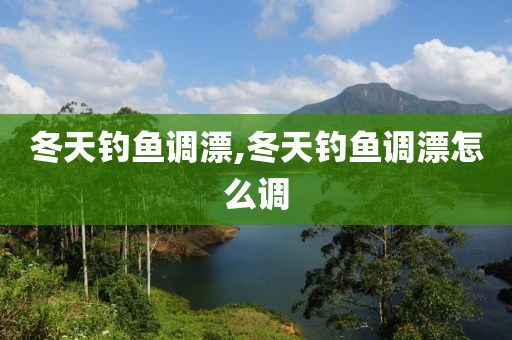 冬天釣魚調(diào)漂,冬天釣魚調(diào)漂怎么調(diào)-第1張圖片-姜太公愛釣魚