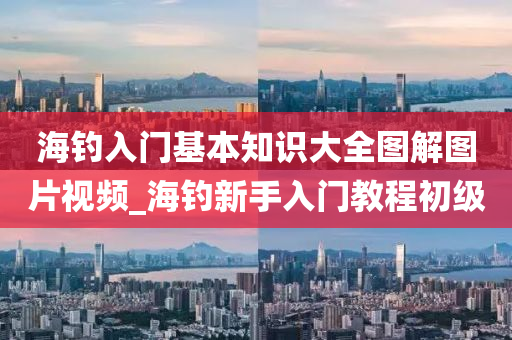 海釣入門基本知識大全圖解圖片視頻_海釣新手入門教程初級-第1張圖片-姜太公愛釣魚