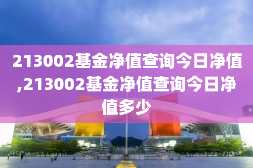 213002基金凈值查詢今日凈值,213002基金凈值查詢今日凈值多少-第1張圖片-姜太公愛(ài)釣魚(yú)