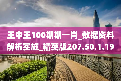 王中王100期期一肖_數(shù)據(jù)資料解析實施_精英版207.50.1.19