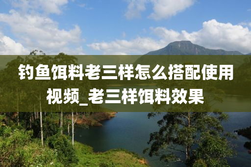 釣魚餌料老三樣怎么搭配使用視頻_老三樣餌料效果