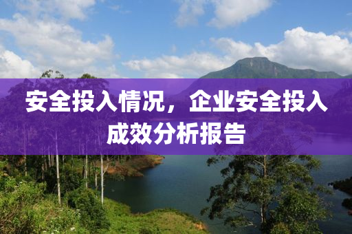 安全投入情況，企業(yè)安全投入成效分析報告-第1張圖片-姜太公愛釣魚