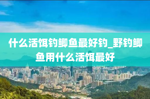 什么活餌釣鯽魚最好釣_野釣鯽魚用什么活餌最好-第1張圖片-姜太公愛釣魚