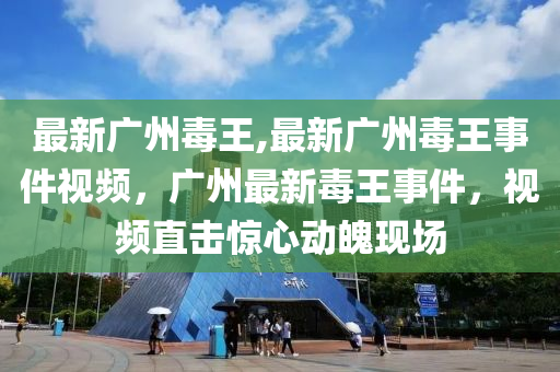 最新廣州毒王,最新廣州毒王事件視頻，廣州最新毒王事件，視頻直擊驚心動(dòng)魄現(xiàn)場(chǎng)