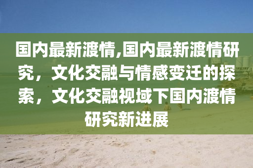 國(guó)內(nèi)最新渡情,國(guó)內(nèi)最新渡情研究，文化交融與情感變遷的探索，文化交融視域下國(guó)內(nèi)渡情研究新進(jìn)展